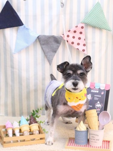 20250520クロムくん